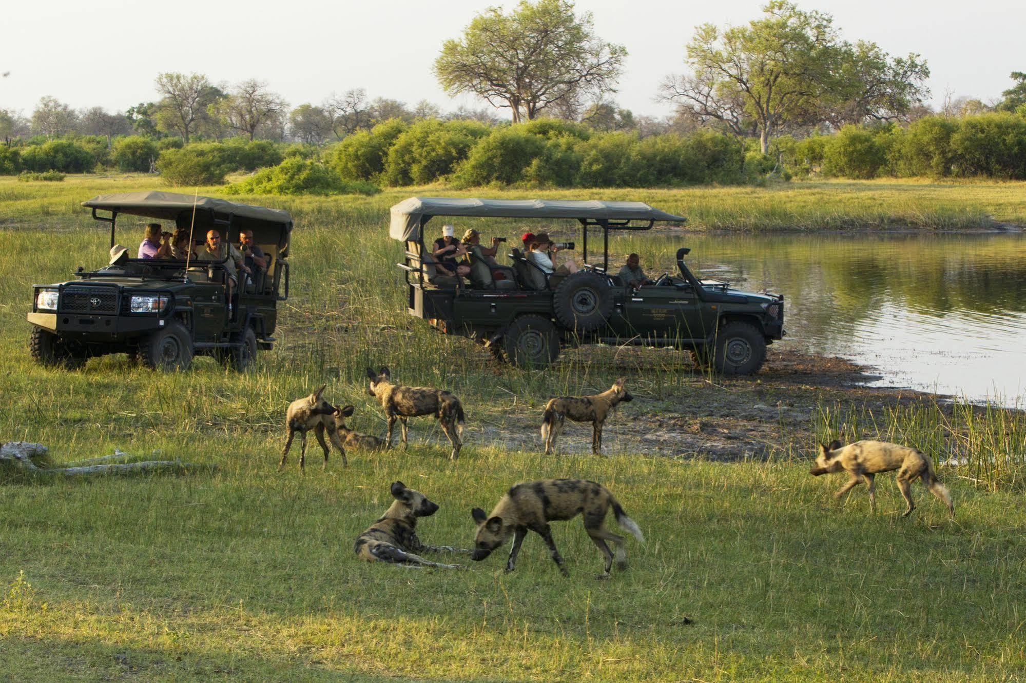Selinda Camp Hotell Selinda Reserve Eksteriør bilde