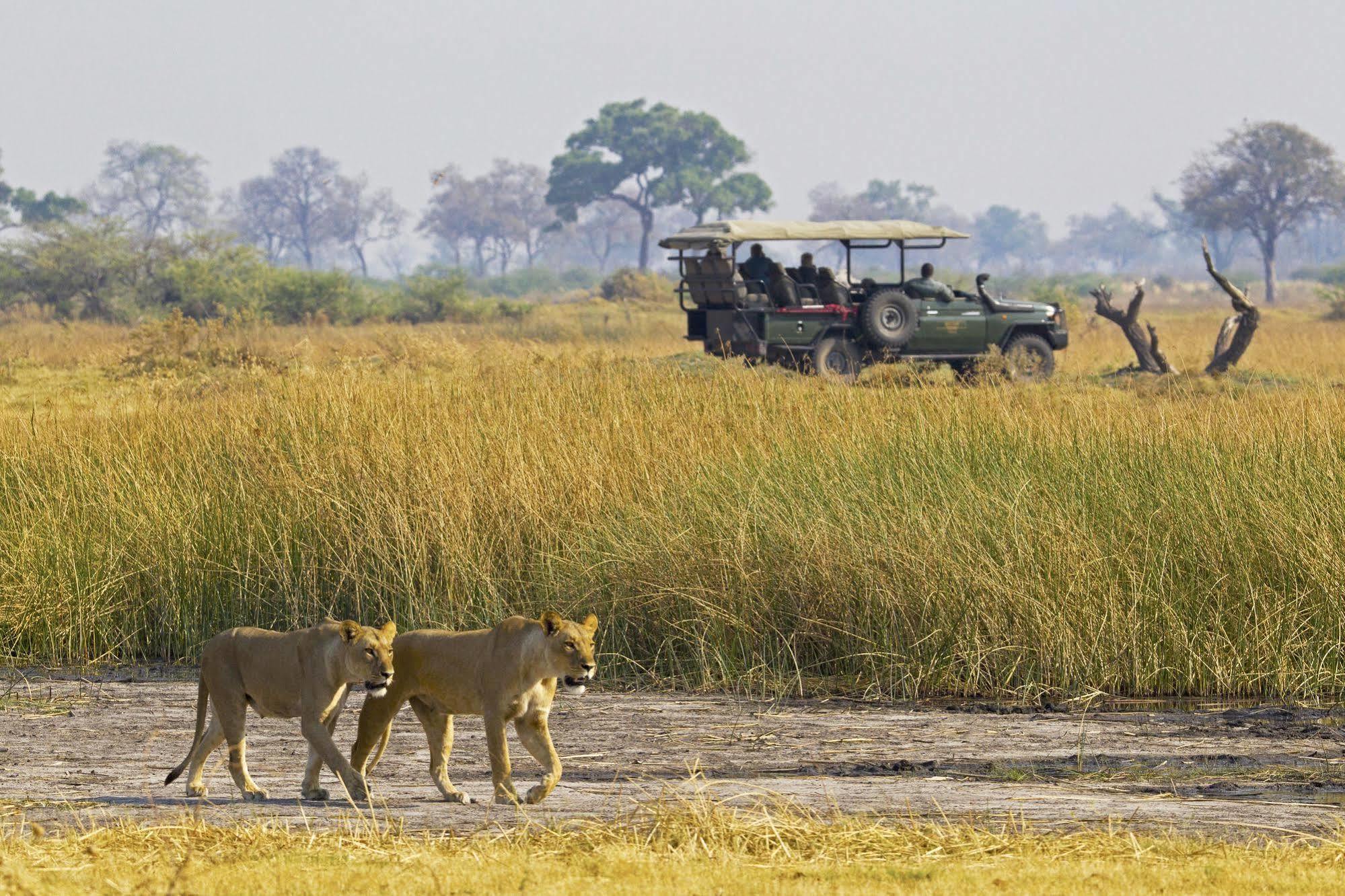 Selinda Camp Hotell Selinda Reserve Eksteriør bilde