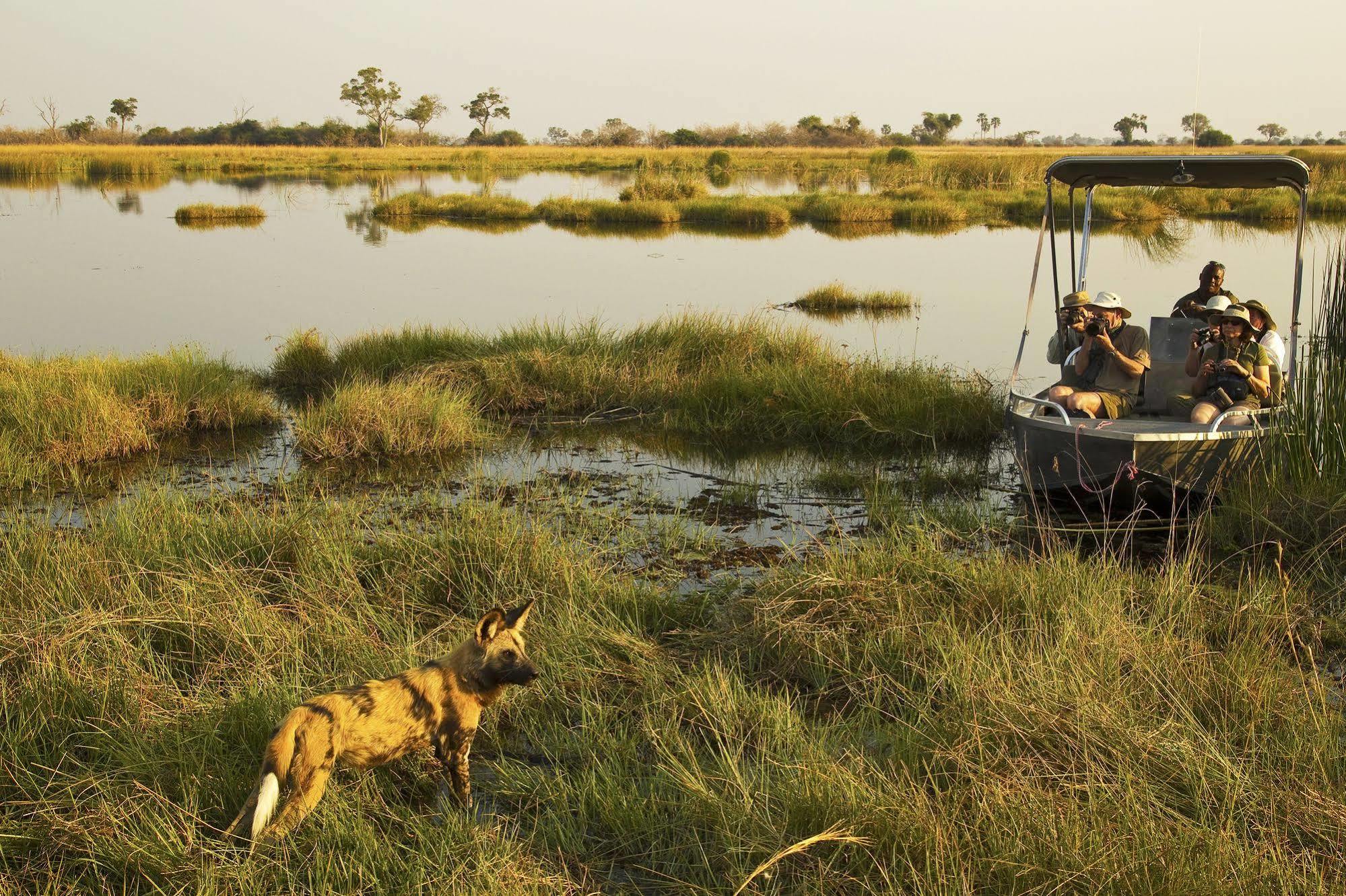 Selinda Camp Hotell Selinda Reserve Eksteriør bilde