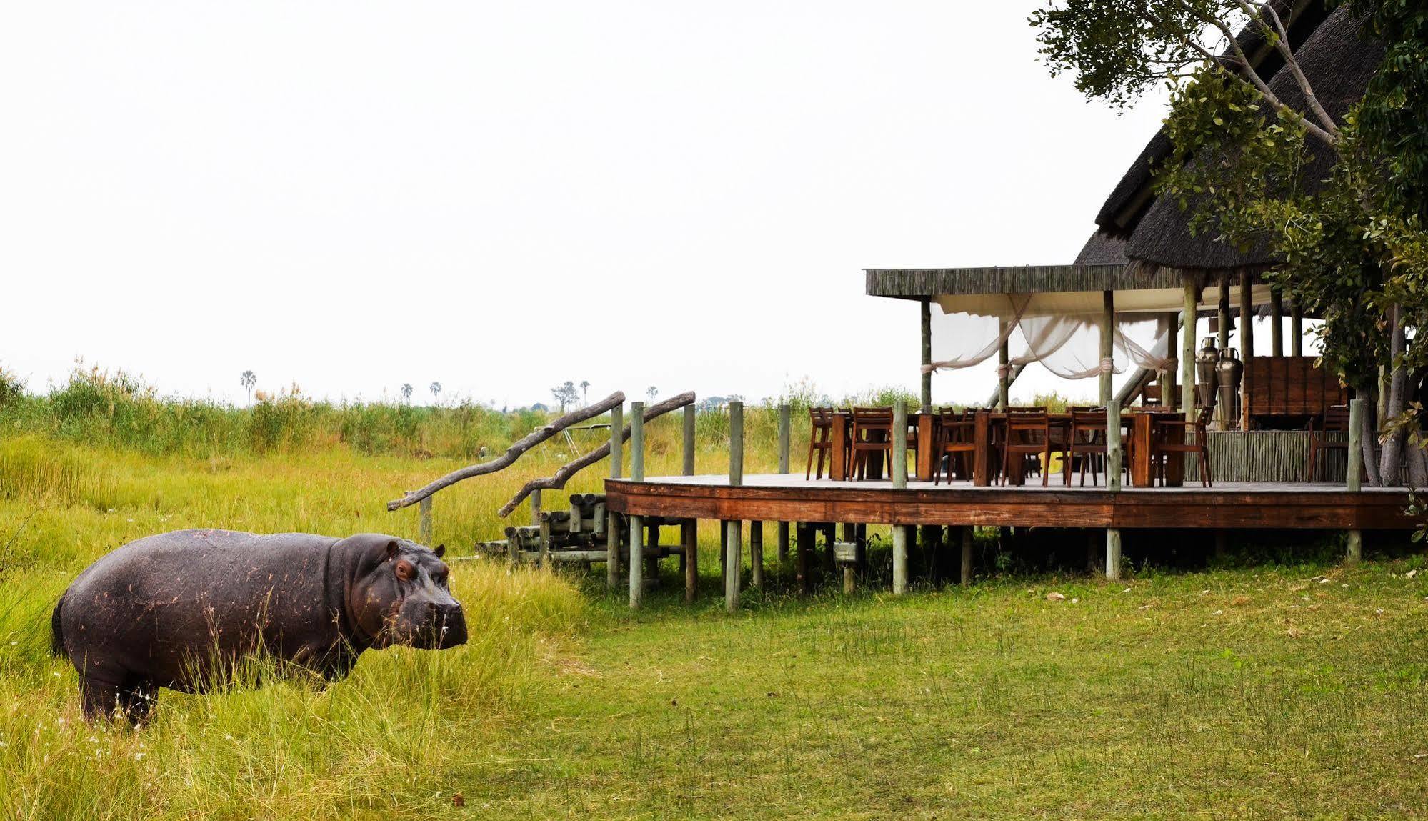 Selinda Camp Hotell Selinda Reserve Eksteriør bilde
