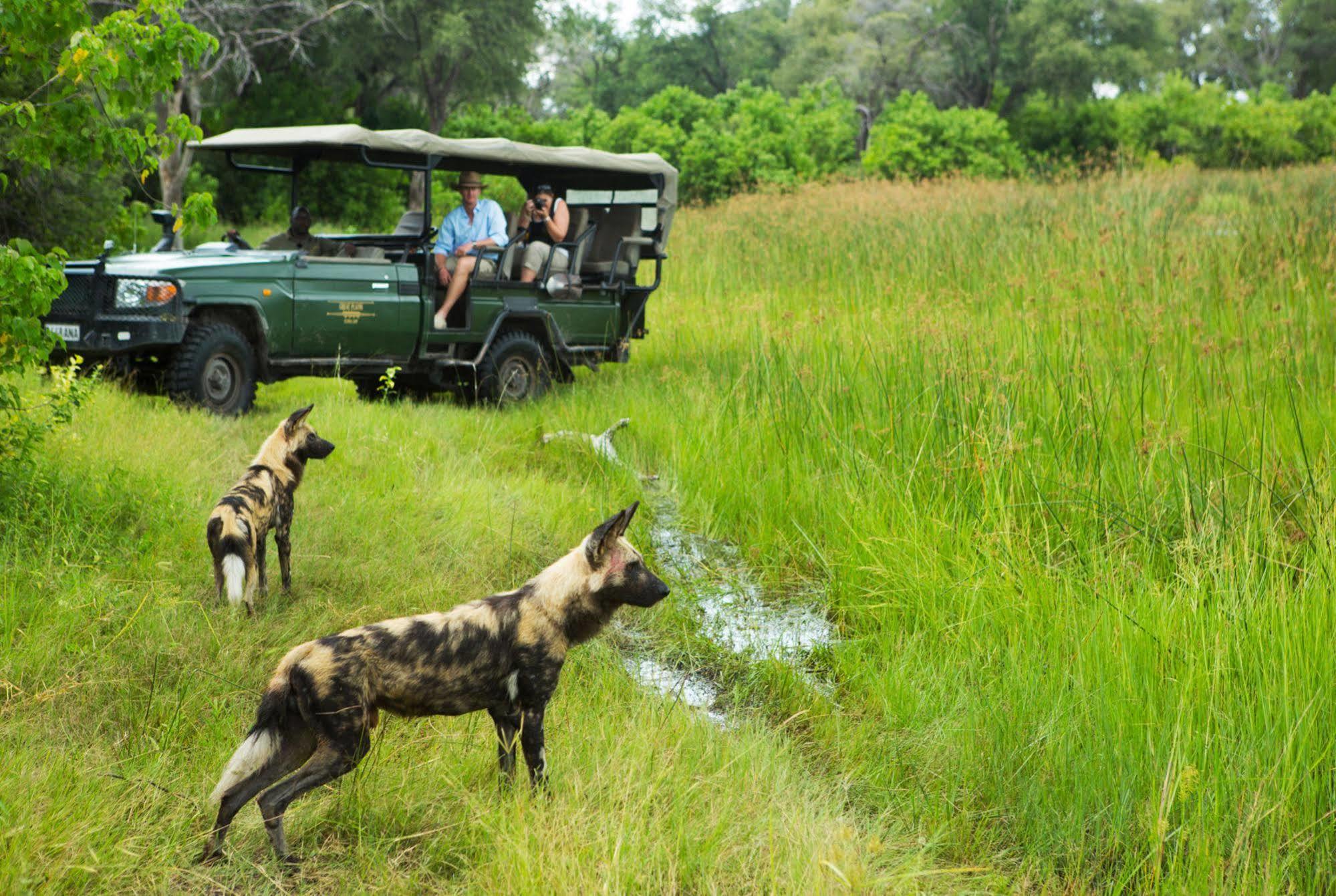 Selinda Camp Hotell Selinda Reserve Eksteriør bilde